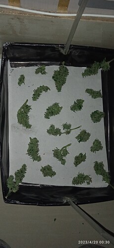 IMG_20230420_003010