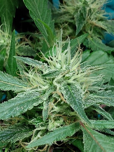 IMG_20220223_152317860