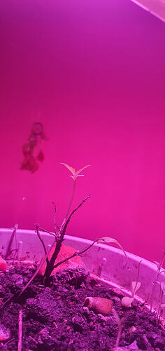 20260403_050848