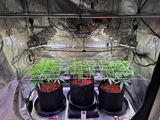 aR1k7c5GZlNlbavMQDMRDcMubg03_img@1761067334856