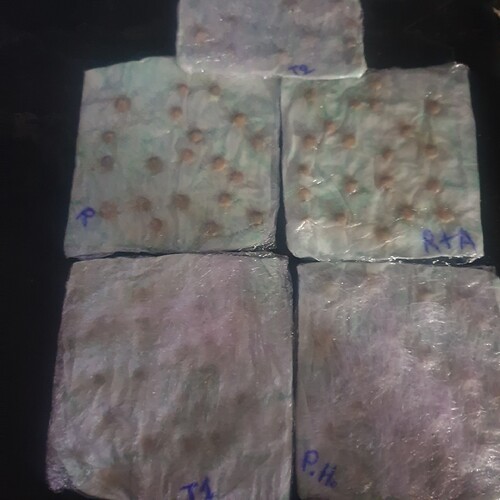 thumbnail_20251116_124737