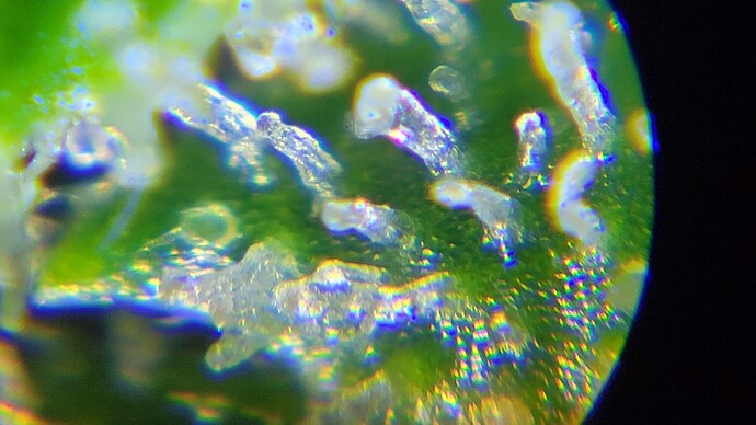 20230817_140707