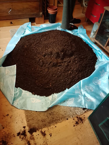 IMG_20260208_144723_HDR (1)