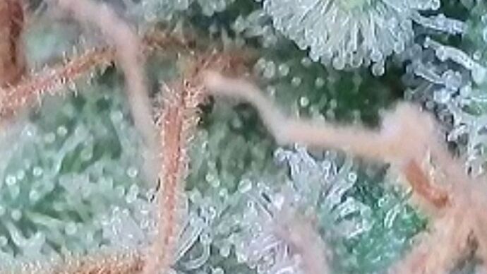 Tag 127 Milchig am Start 16.9.24