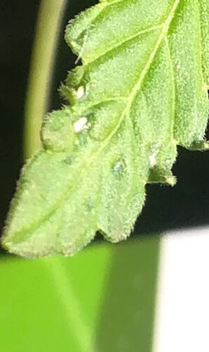 f0e7413b-795a-480e-9464-743ac4307fc8