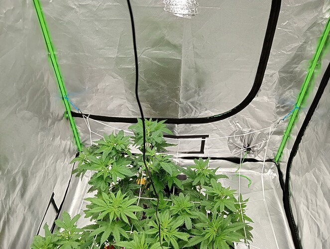 c88a5a7f-ad8a-479c-8dba-e3757d4efc16-1_all_2634