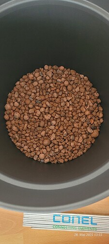 Tag 35 die Drainage schicht von 3 - 4 cm 28.5.25