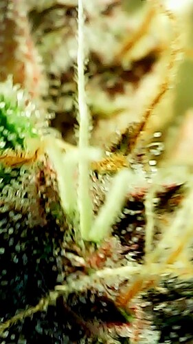 2024_05_28_17_35_40_537_exported_91760