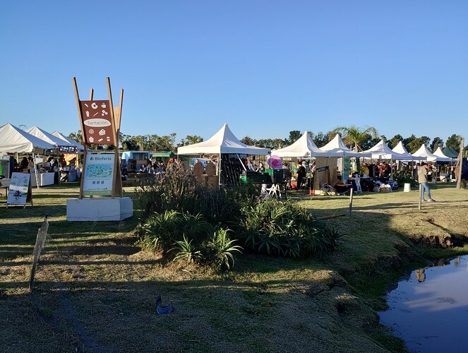 IMG_20250404_172653465_HDR