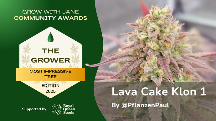 GWJ Community Awards 2025 - The Grower Winner