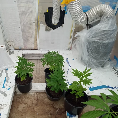 IMG_20230604_230918_337