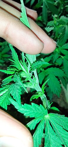 IMG_20230215_234958