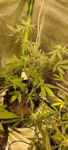 IMG_20250507_192712