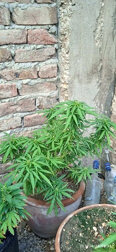 IMG_20230428_183130