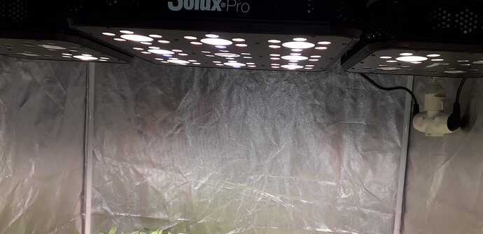 IMG-20241229-WA0000