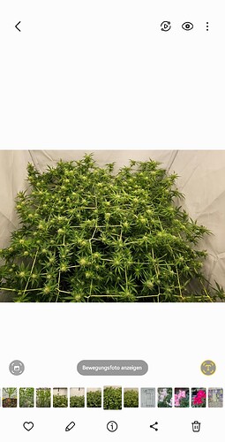 Screenshot_20240909_083905_Gallery