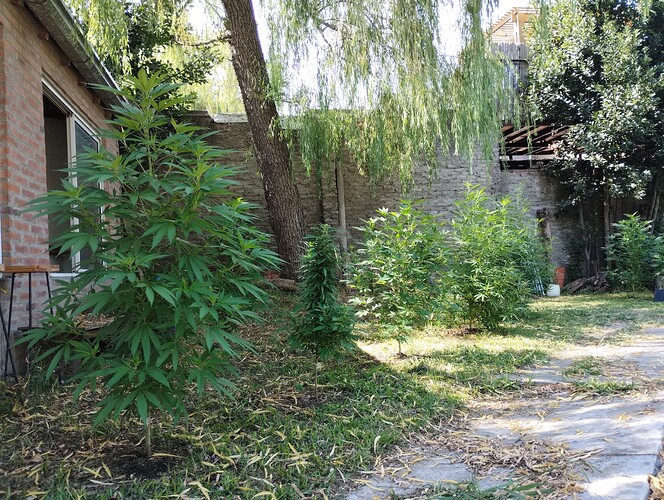 IMG_20260128_102432889