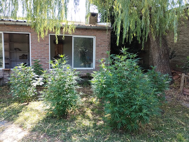 IMG_20260128_102322874