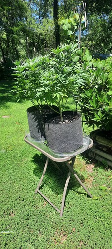 Resized_20230730_145645