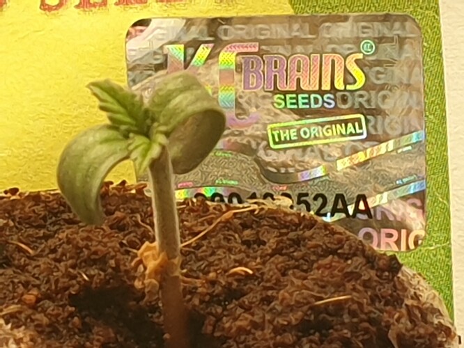 20230425_153342
