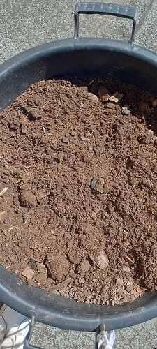 IMG_20250428_120754_HDR