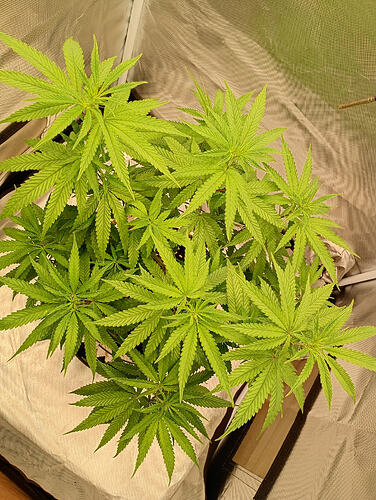 IMG_20260918_203904783_HDR