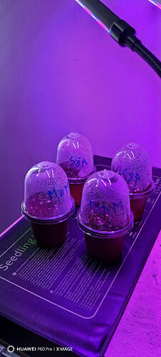 IMG_20260829_120334