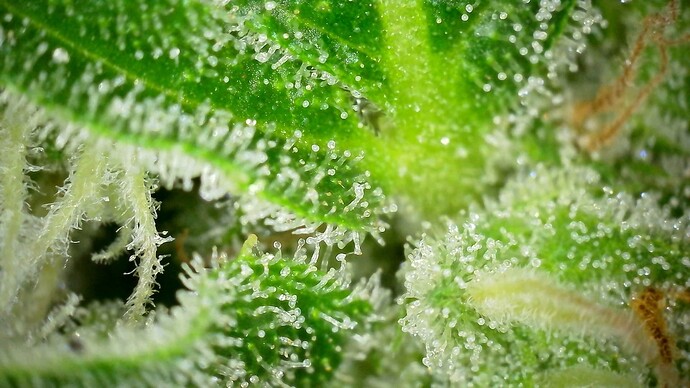 WIN_20240719_18_33_10_Pro