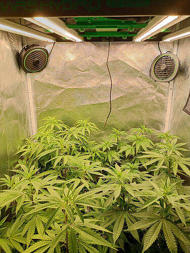IMG_20260920_201355052_HDR