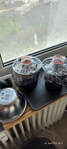 Tag 3 und den Topf für die zweite direkt mit vorbereitet 26.4.25