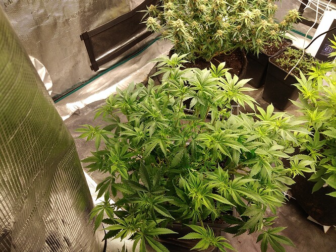 1646509153260919963009190437441