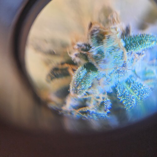 16804846952163243525881991921014