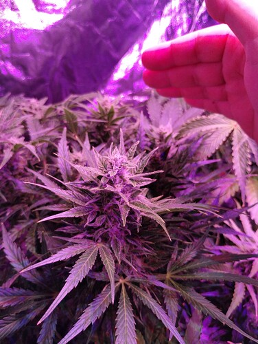 IMG_20230926_232555425