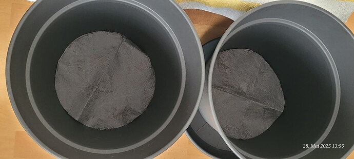 Tag 35 nun nur noch die Living Soil rein und Morgen ist um Topfen der Congos 28.5.25