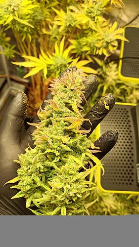 ac1297ad-fed0-482c-bab6-28d013b3093b-1_all_57238