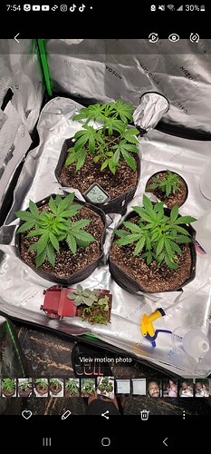 Screenshot_20240118_195445_Gallery