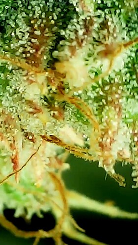 2024_05_28_17_41_38_737_exported_59920