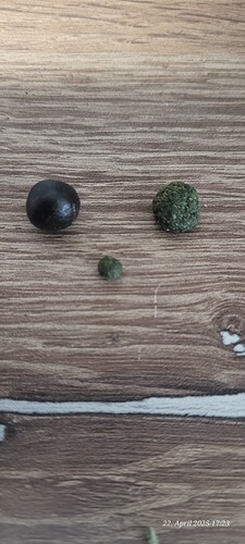 Tag 149 und dazu ein kleiner Hash Test mal so zwischen durch 22.4.25
