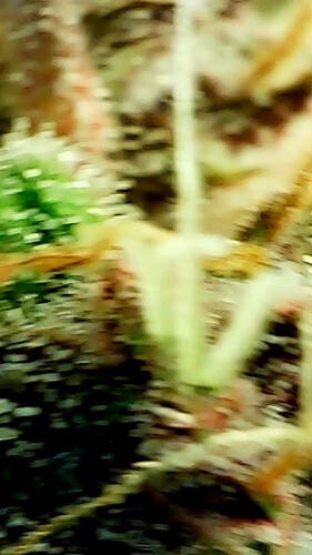 2024_05_28_17_35_40_537_exported_91600
