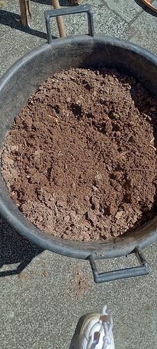 IMG_20250428_120810_HDR