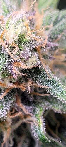 Tag 64 Haze 1 am 2.6.25