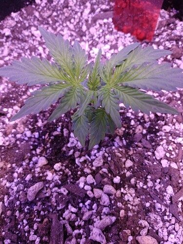 IMG_20220330_010238480