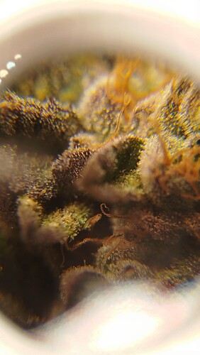 47ab9e33-87c9-420b-a132-a92102ffe98c-1_all_20315