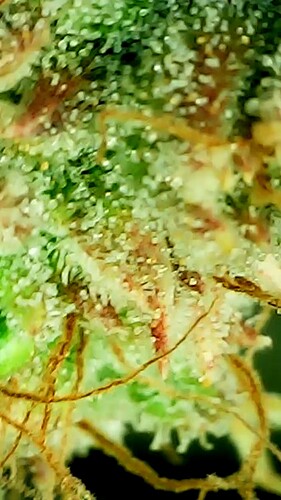 2024_05_28_17_41_38_737_exported_59480