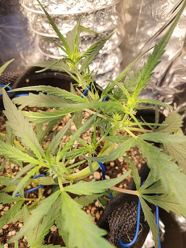 16669844294391702530707788457150