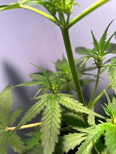 431482314_733623632082318_1099239243257127697_n