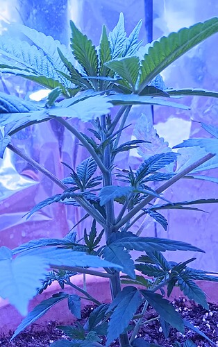 IMG_20231026_130501444~2