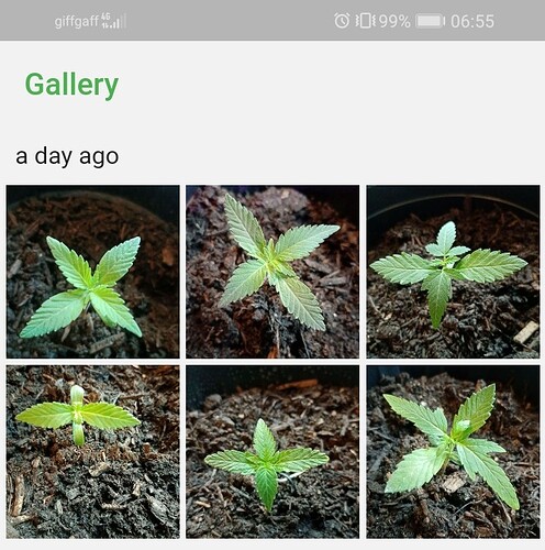 Screenshot_20220715_065539_com.unlogical.jane