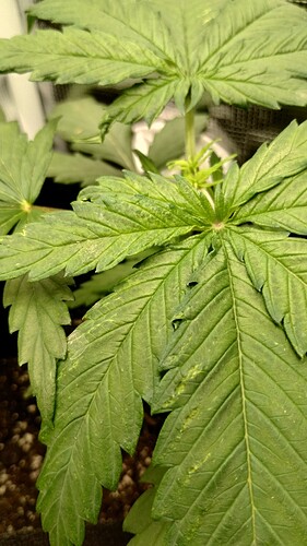 IMG_20231114_114625578_HDR