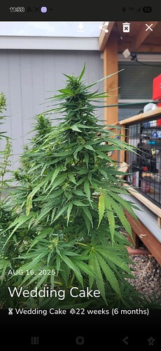 Screenshot_20250829_115807_Jane